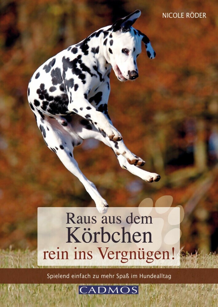 Raus aus dem Körbchen - rein ins Vergnügen! main product photo