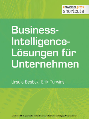 Business-Intelligence-Lösungen für Unternehmen
