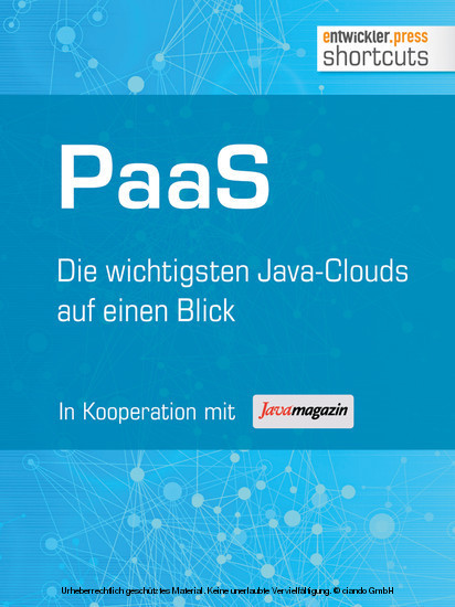 PaaS - Die wichtigsten Java Clouds auf einen Blick main product photo