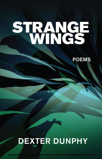 Strange Wings main product photo