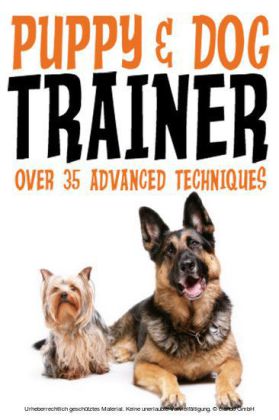 Puppy & Dog Training