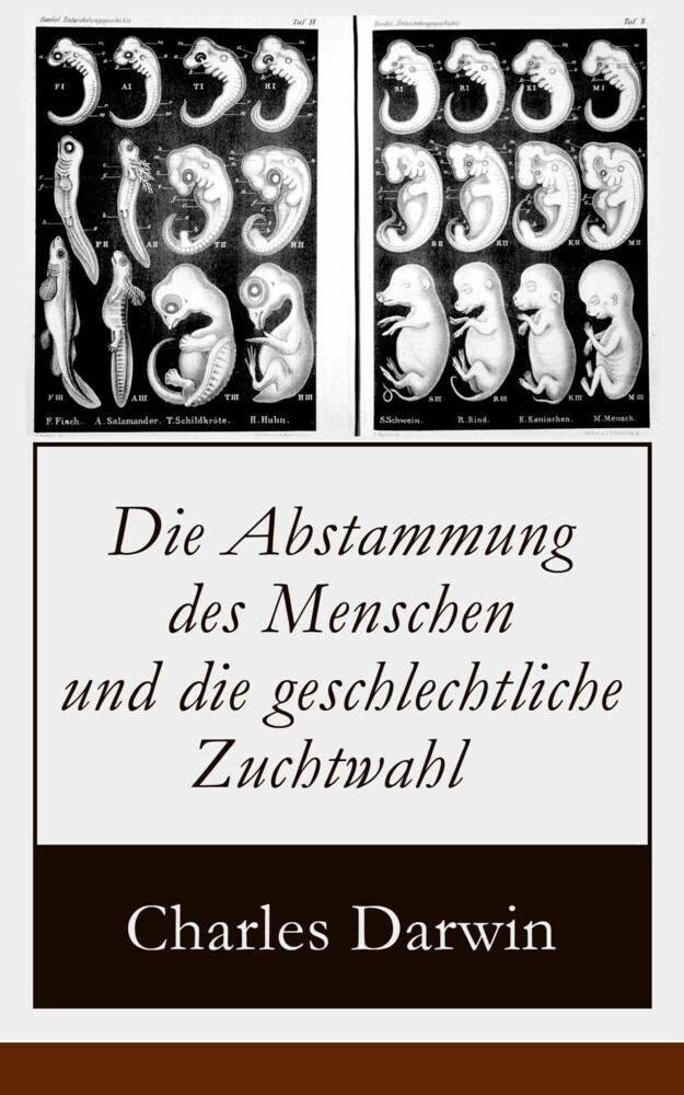 Die Abstammung des Menschen und die geschlechtliche Zuchtwahl main product photo
