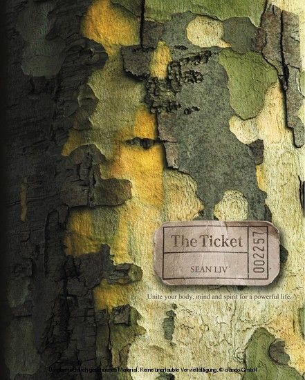 The Ticket main product photo