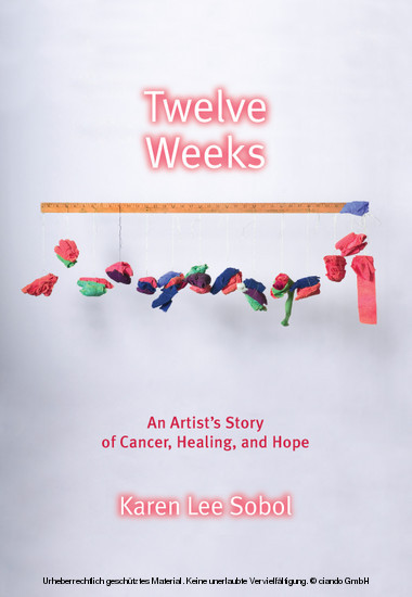 Twelve Weeks main product photo