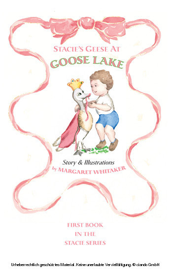 Stacie's Geese at Goose Lake main product photo