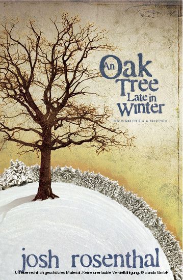 An Oak Tree Late in Winter main product photo