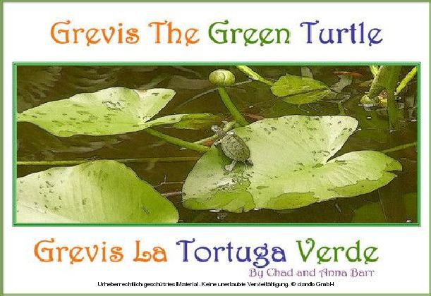 Grevis the Green Turtle main product photo