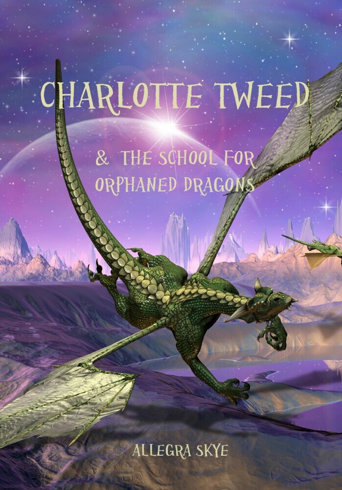 Charlotte Tweed and the School for Orphaned Dragons (Book #1) main product photo