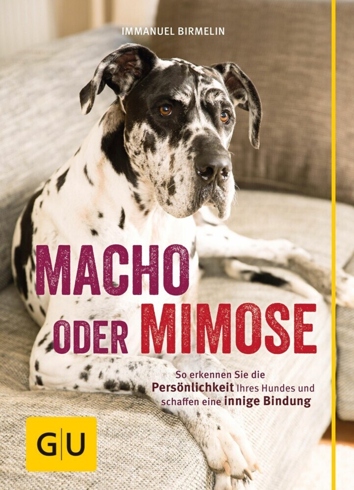 Macho oder Mimose main product photo
