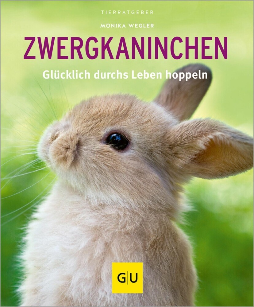 Zwergkaninchen main product photo