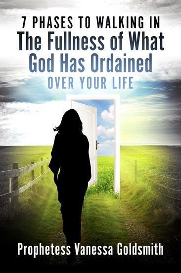 7 Phases to Walking In The Fullness Of What God Has Ordained Over Your Life main product photo