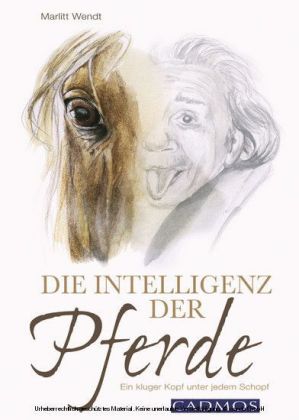 Die Intelligenz der Pferde
