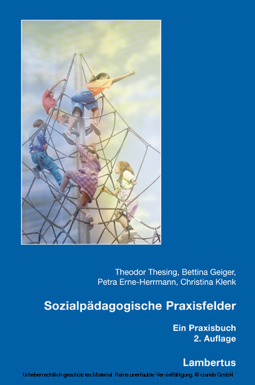 Sozialpädagogische Praxisfelder main product photo