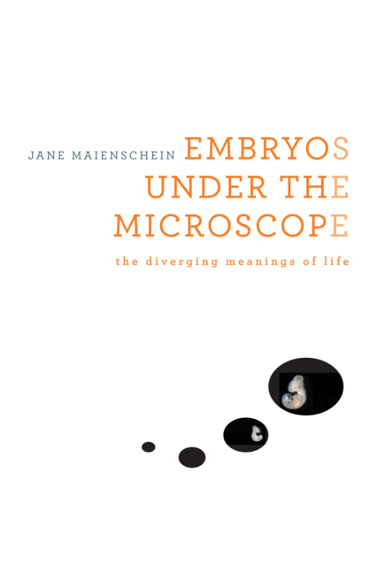 Embryos under the Microscope main product photo