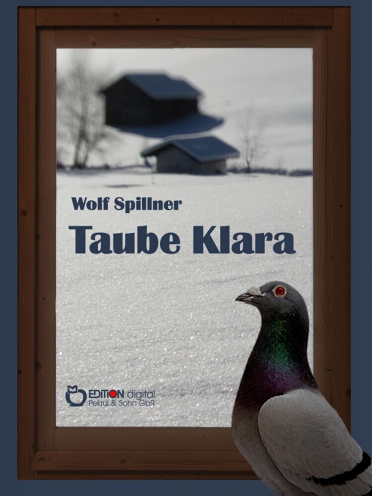 Taube Klara oder Zufälle gibt es nicht main product photo