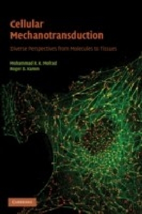 Cellular Mechanotransduction main product photo