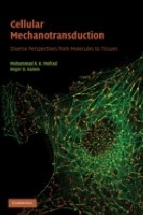Cellular Mechanotransduction