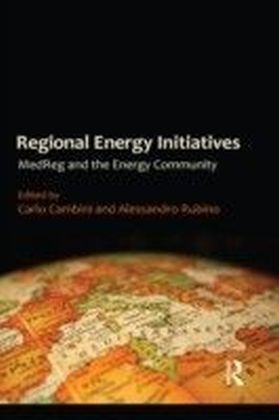 Regional Energy Initiatives main product photo