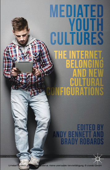 Mediated Youth Cultures main product photo