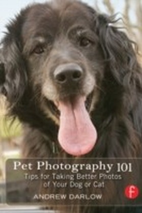 Pet Photography 101