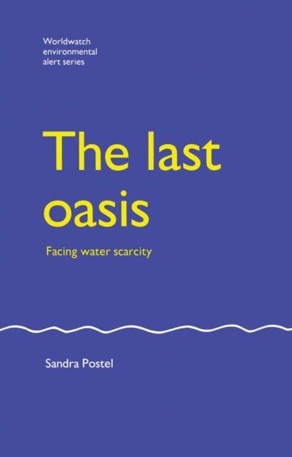 Last Oasis main product photo
