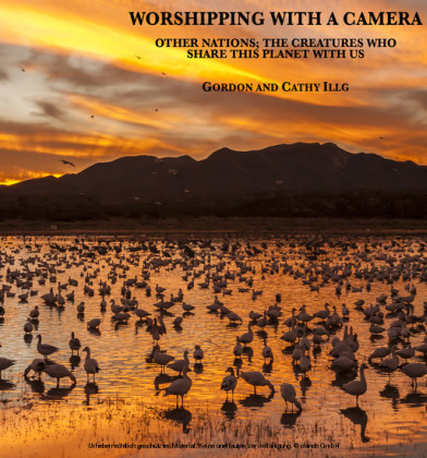 Worshipping with a Camera main product photo