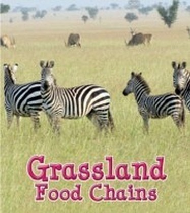 Grassland Food Chains main product photo
