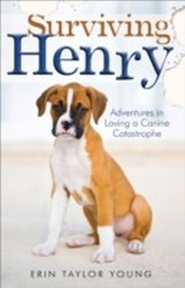 Surviving Henry main product photo
