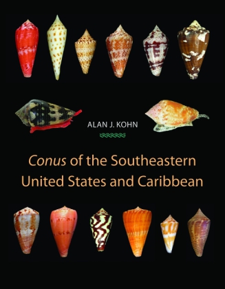 "Conus" of the Southeastern United States and Caribbean