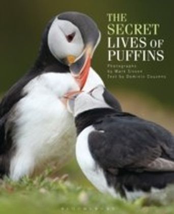 Secret Lives of Puffins main product photo