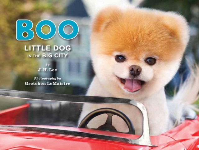 Boo: Little Dog in the Big City main product photo
