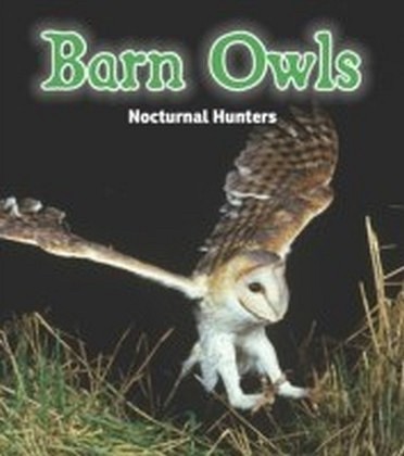 Barn Owls main product photo