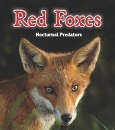 Red Foxes main product photo