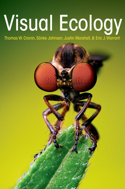 Visual Ecology main product photo