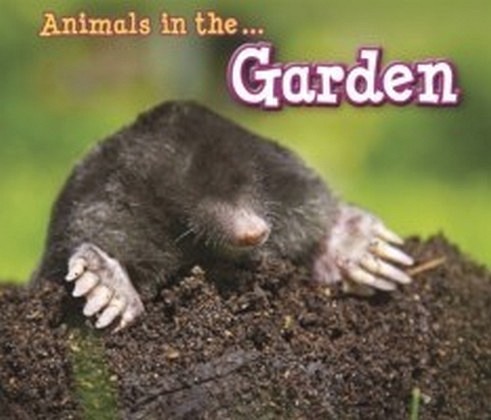 Animals in the Garden main product photo