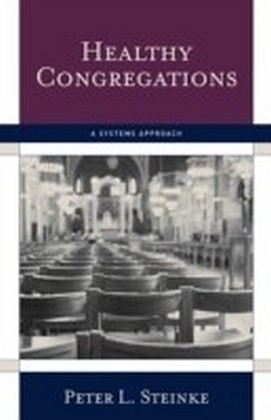 Healthy Congregations main product photo