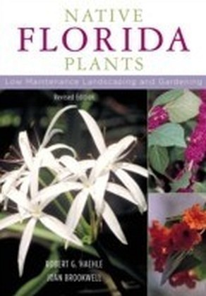 Native Florida Plants