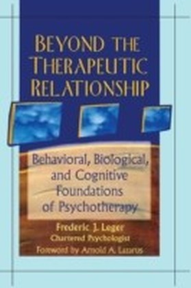 Beyond the Therapeutic Relationship