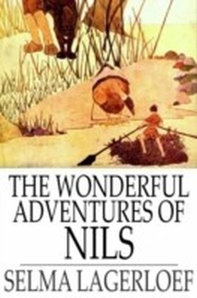 Wonderful Adventures of Nils main product photo