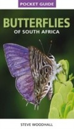 Pocket Guide Butterflies of South Africa main product photo