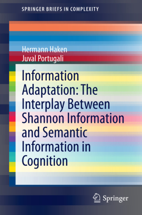Information Adaptation: The Interplay Between Shannon Informat...