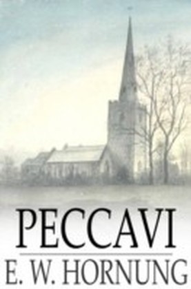 Peccavi main product photo