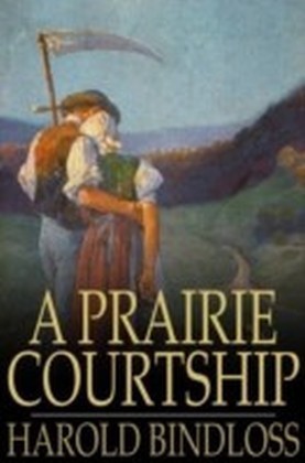 Prairie Courtship