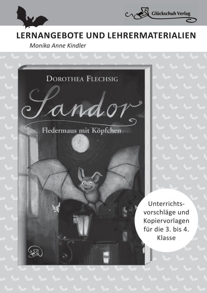 Dorothea Flechsig: Sandor - Fledermaus mit Köpfchen main product photo