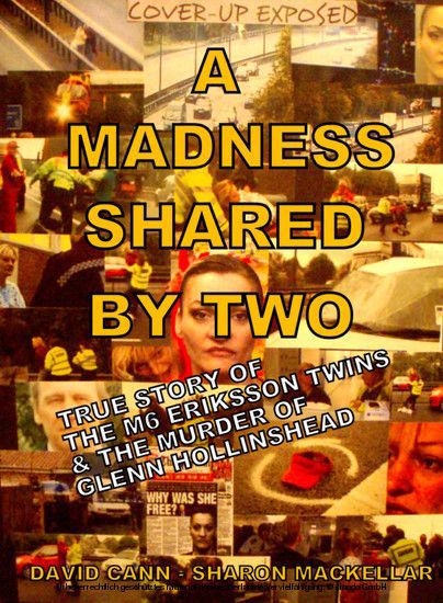A Madness Shared by Two main product photo