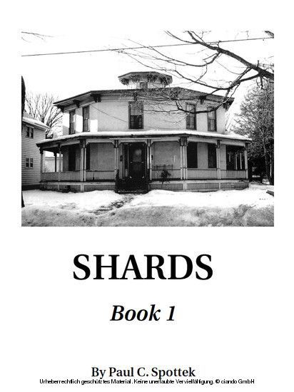 SHARDS main product photo