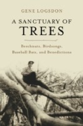 Sanctuary of Trees