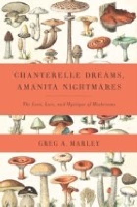 Chanterelle Dreams, Amanita Nightmares main product photo