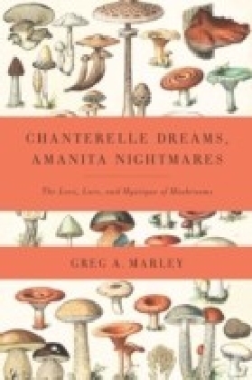 Chanterelle Dreams, Amanita Nightmares