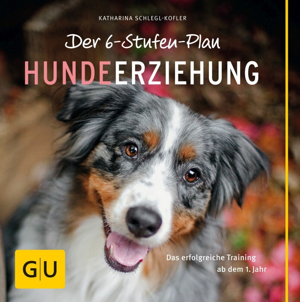 Der 6-Stufen-Plan Hundeerziehung main product photo
